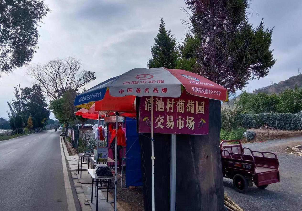 图片7