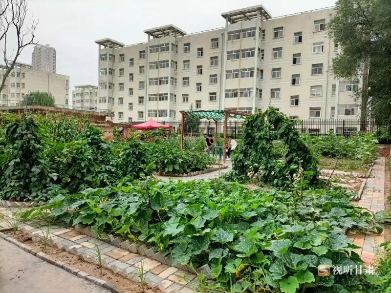 复制图片