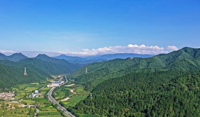 小隴山森林生態畫卷美