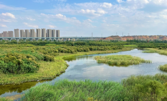 兰州新区秦王川国家湿地公园：绘就人与自然和谐共生的美丽画卷