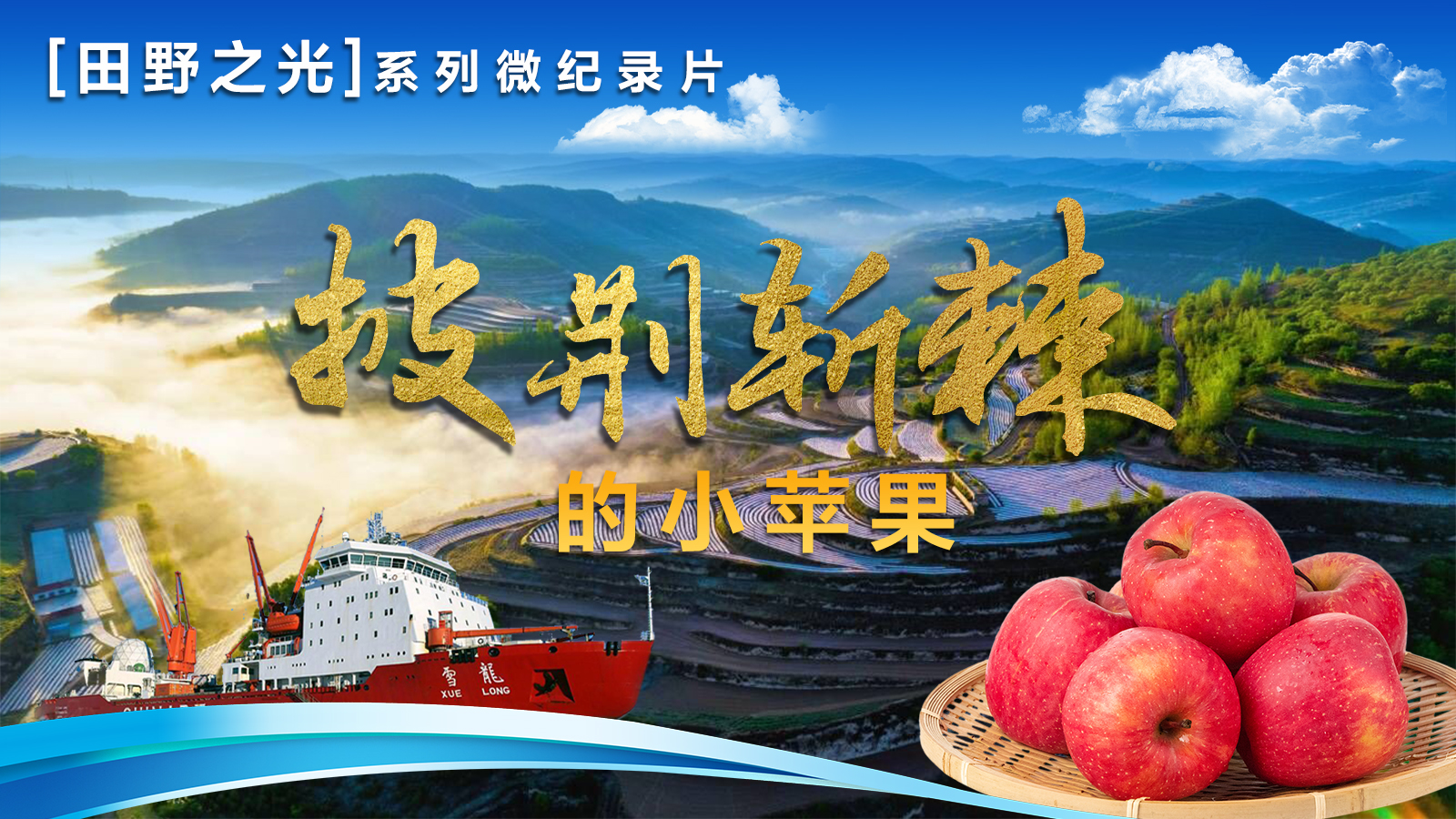 【微纪录】田野之光｜披荆斩棘的小苹果