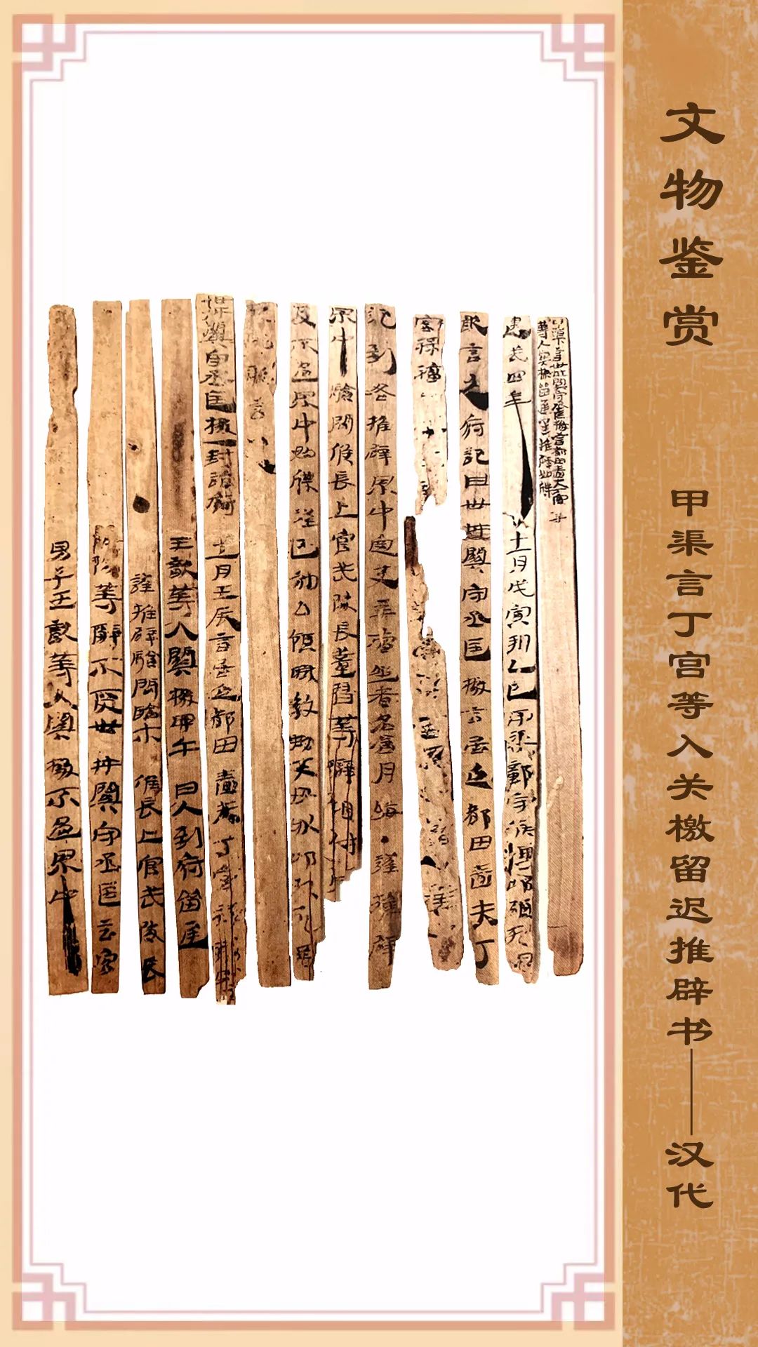 1728825581609044.jpg 1728825581609044.jpg