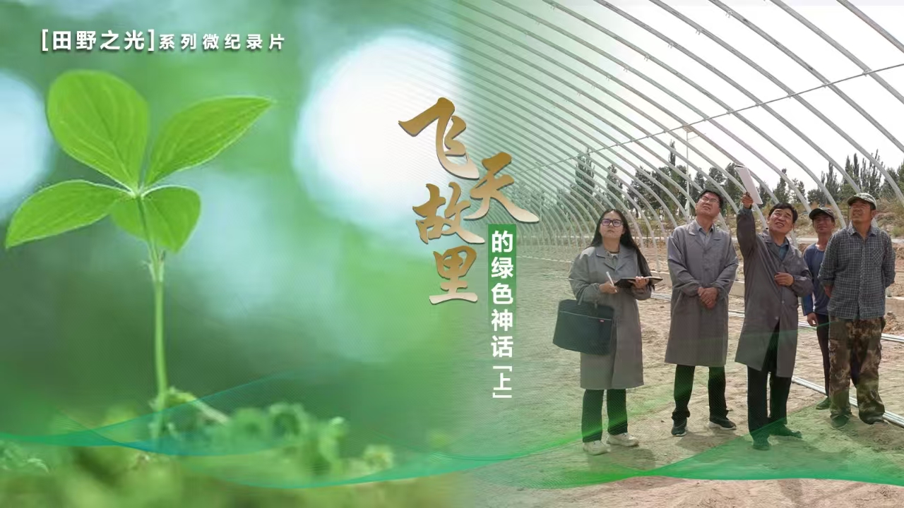 【微纪录】田野之光｜飞天故里的绿色神话