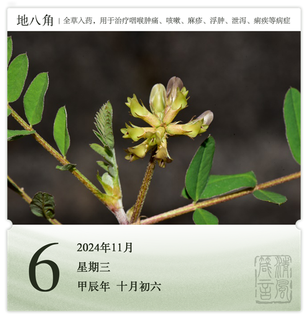 1730187602223372.png 箴历日历11-6.png
