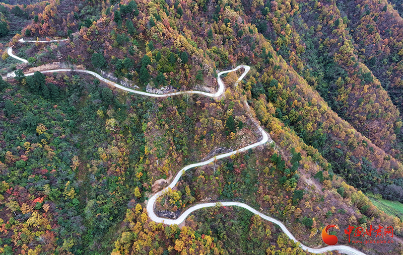 康县：“四好农村路”景美如画