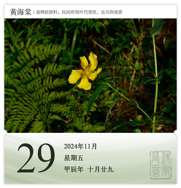 1730190339467793.png 箴历日历11-29.png