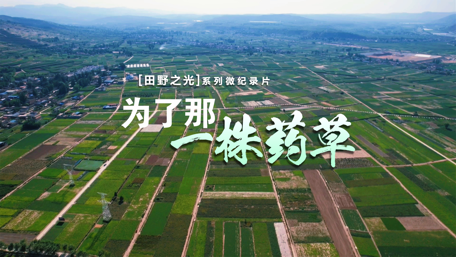 【微纪录】田野之光｜为了那一株药草