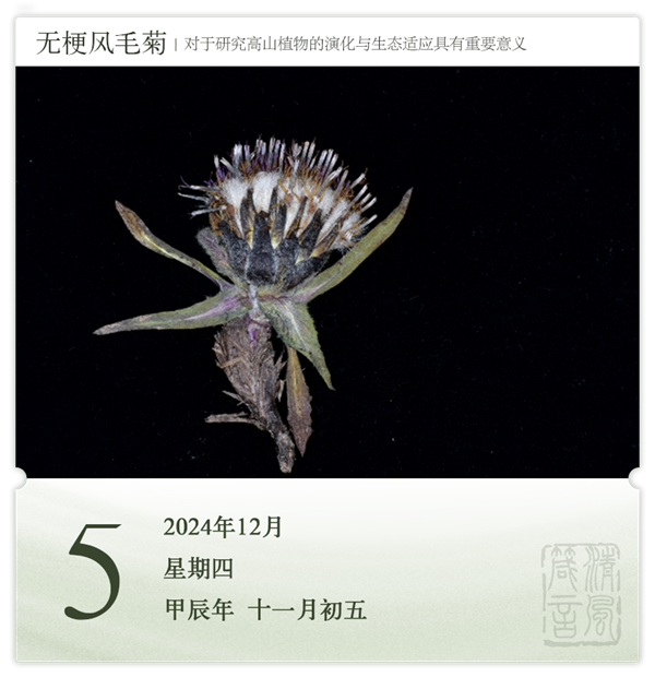 1732868500995719.png 箴历日历12-5.png