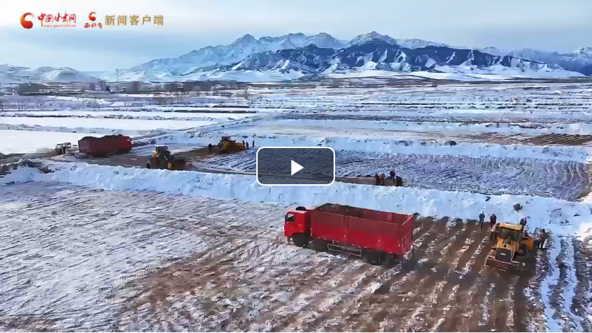 陇拍客丨民乐：中药材产业带活村集体经济