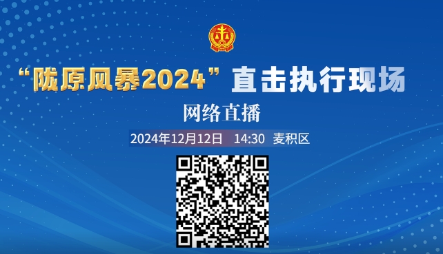 “陇原风暴2024”直击执行行动 麦积区站