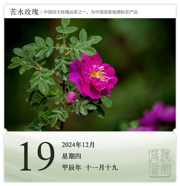 1732870585518215.png 箴历日历12-19.png