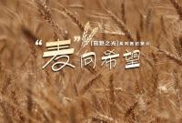 【微纪录】田野之光｜“麦”向希望