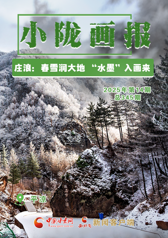 【小隴畫報·345期】莊浪：春雪潤大地 “水墨”入畫來