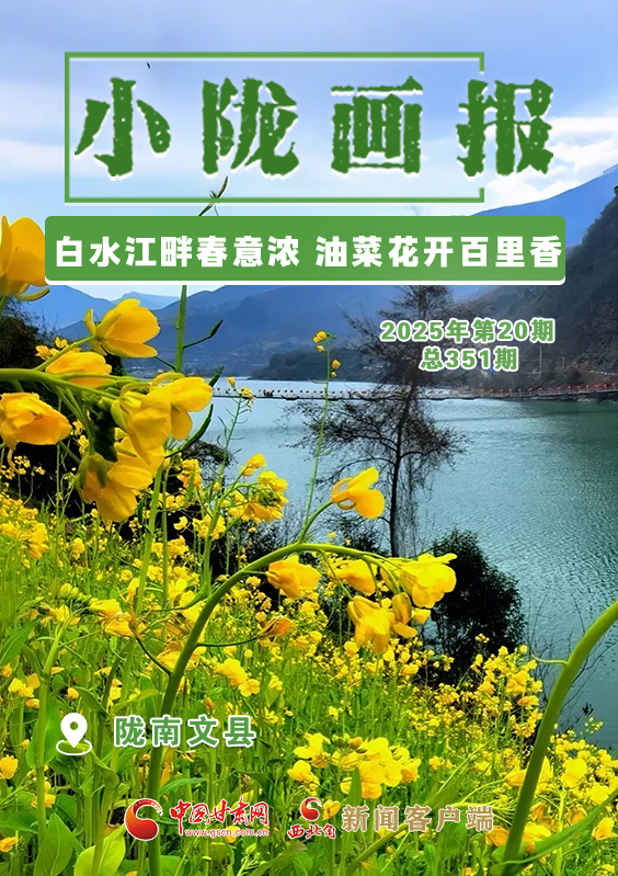 【小隴畫報·351期】文縣：白水江畔春意濃 油菜花開百里香