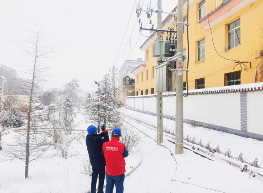 国网临夏县供电公司雪天线路巡视确保供电安全