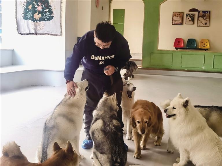 宠物主的两难：千元处方粮买不起 自制粮不敢喂