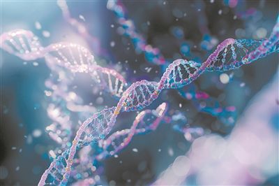 DNA示意图。图片来源:物理学家组织网