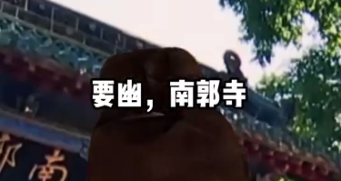 回答我！不来甘肃看看，你在等什么！