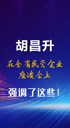 图解|胡昌升在全省民营企业座谈会上强调了这些