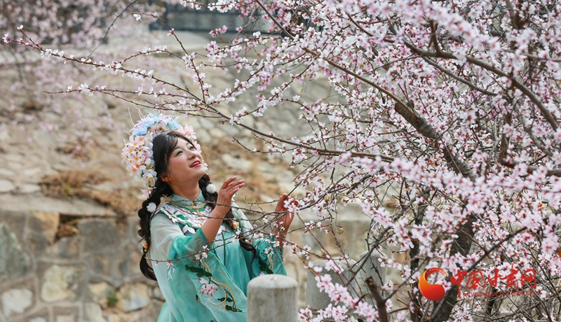 假日出游賞美景