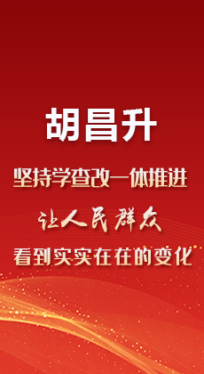 图解|胡昌升：坚持学查改一体推进 让人民群众看到实实在在的变化