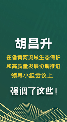 图解|胡昌升在省黄河流域生态保护和高质量发展协调推进领导小组会议上强调了这些！