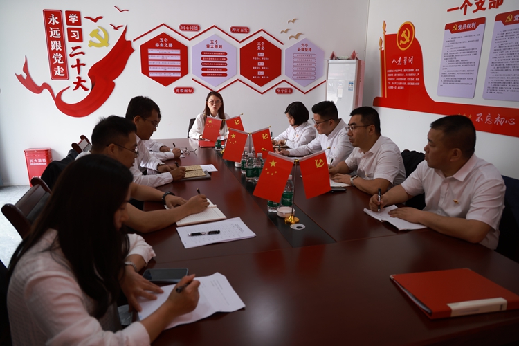 重庆城投建设公司在宝山项目开展党支部书记会议。重庆城投建设公司供图