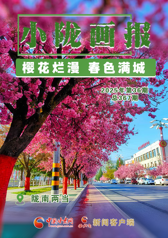 【小陇画报·367期】两当： 樱花烂漫 春色满城