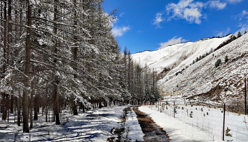 陇拍客|祁连雪墨染夏青 静谧悠远绘诗画