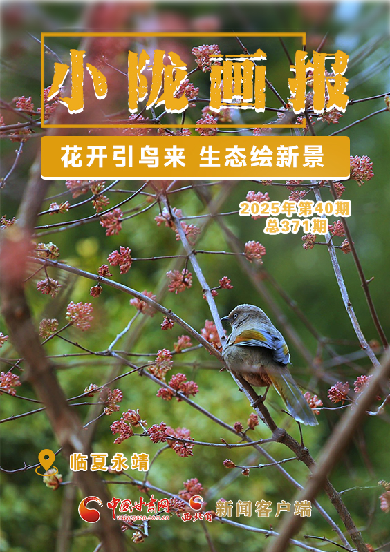 【小陇画报·371期】永靖：花开引鸟来 生态绘新景