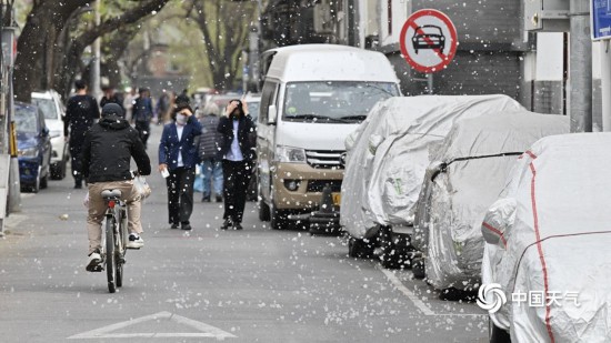 4月7日，北京皇城根遗址公园附近，漫天飞絮如雪。（图/中国天气网王晓）