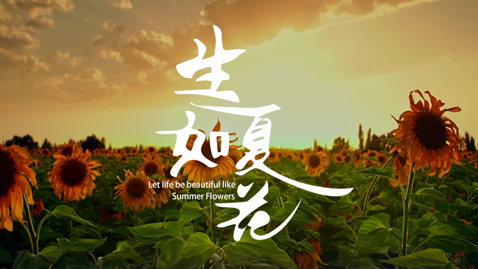 《生如夏花》——百部微电影展播（第一季）