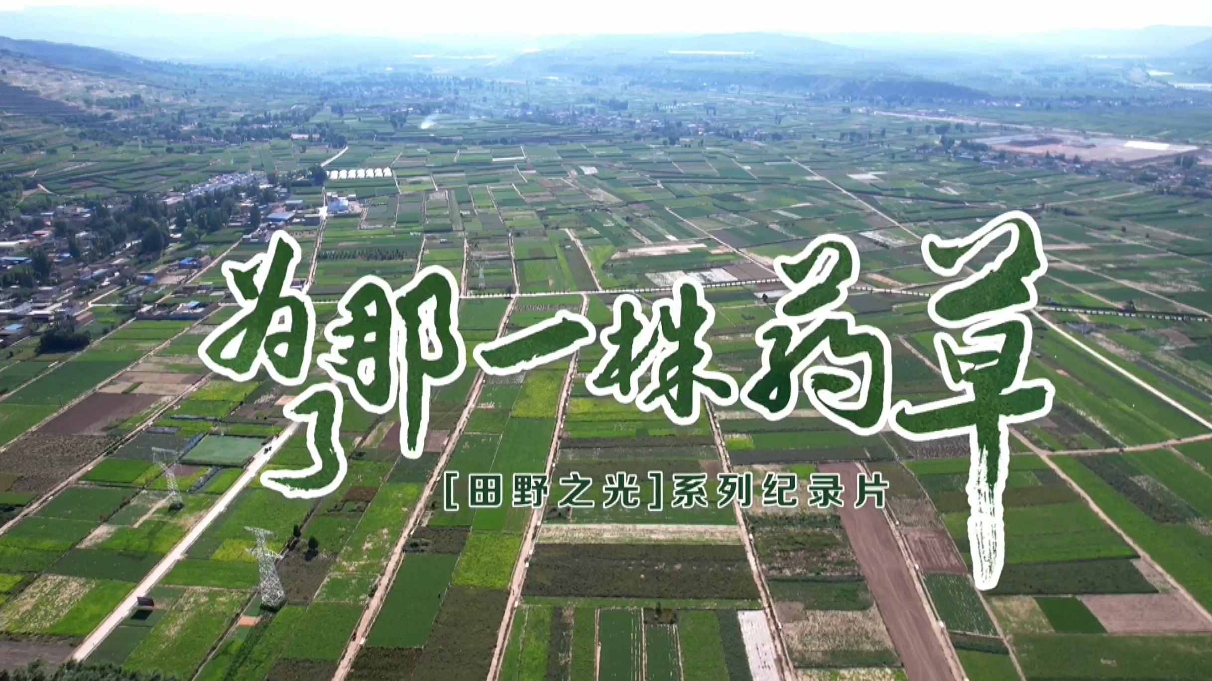 《为了那一株药草》——百部微电影展播（第一季）