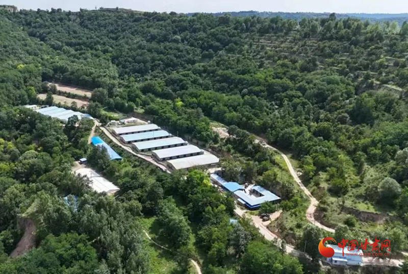 灵台：招商引资项目落地 激活高质量发展动能