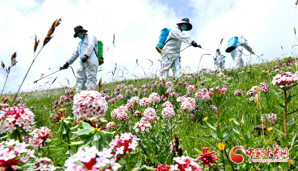 “三北”工程林草湿荒一体化保护修复鏖战正酣