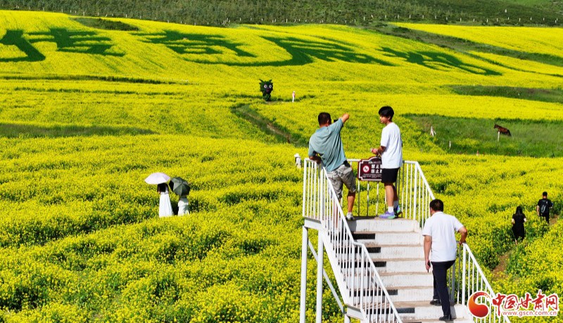【小陇画报·395期】文旅融合绘新景 诗画民乐引客来