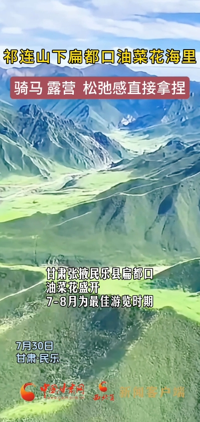 祁连山下扁都口油菜花海里，骑马 露营 松弛感直接拿捏
