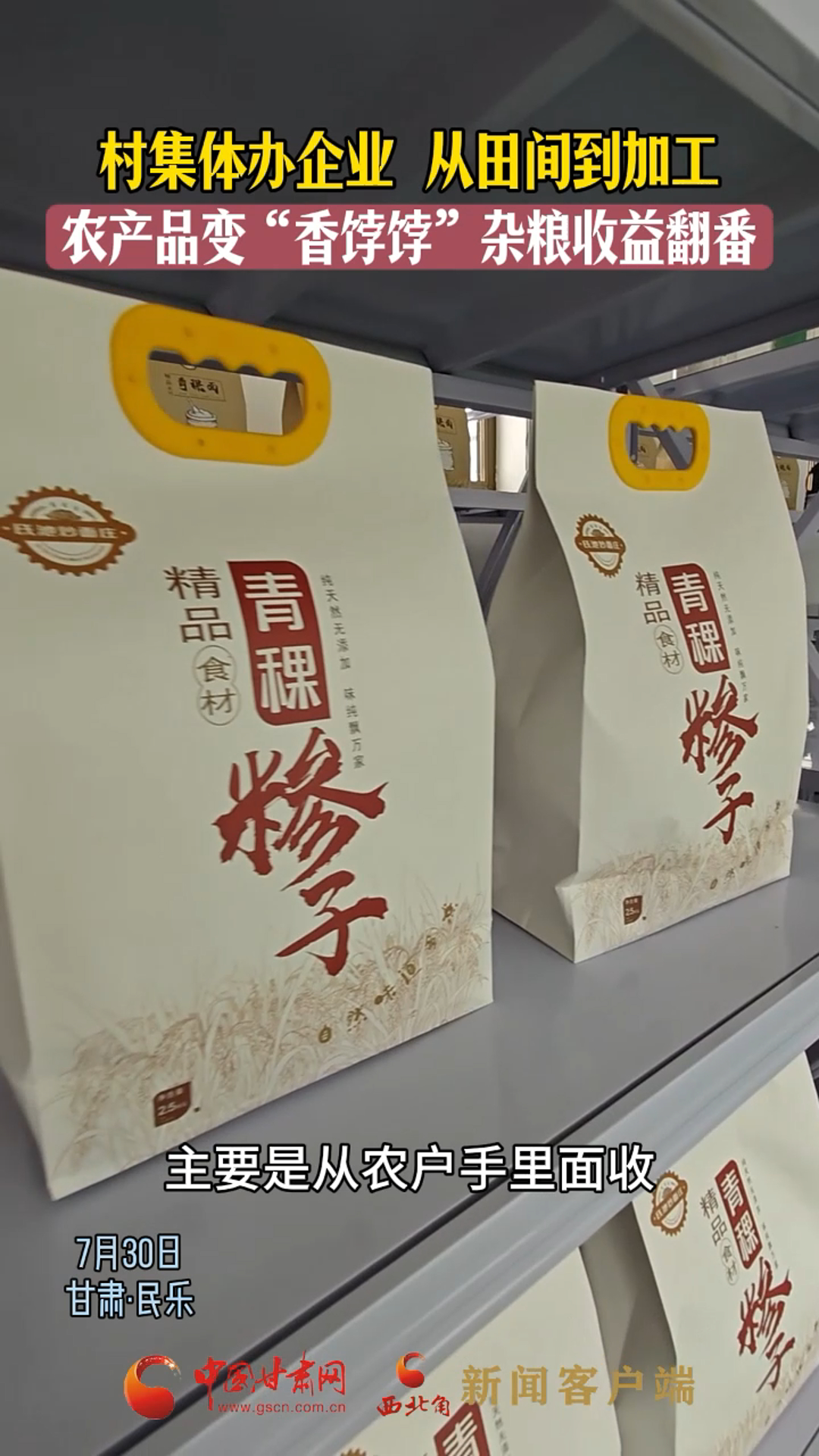 村集体办企业 从田间到加工 农产品变“香饽饽”杂粮收益翻番