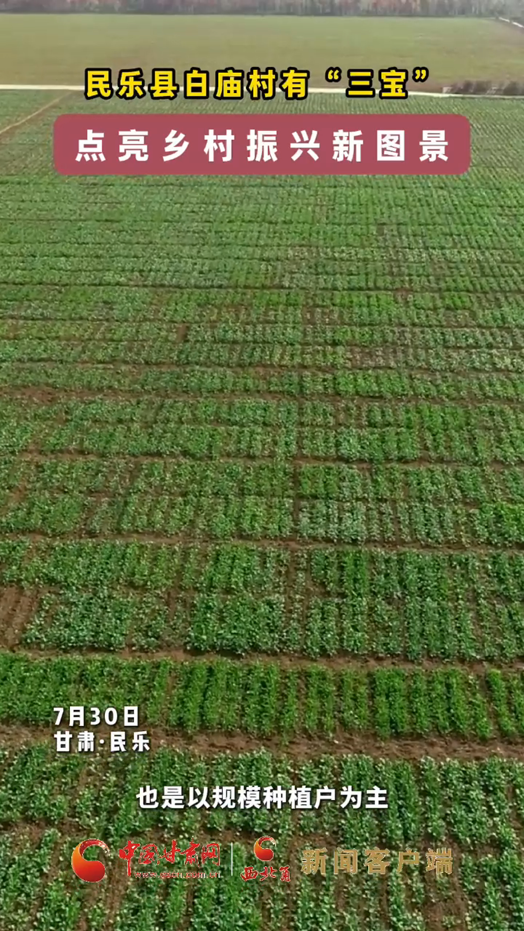 民乐县白庙村有“三宝” 点亮乡村振兴新图景
