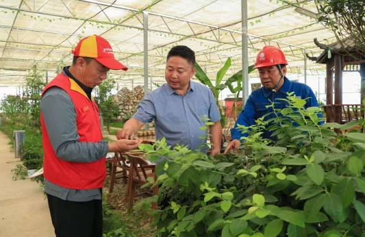 国网庆阳供电公司满格电护航“菜篮子”丰收增产