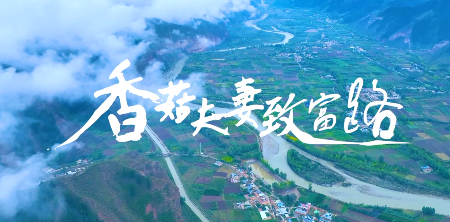 香菇夫妻致富路