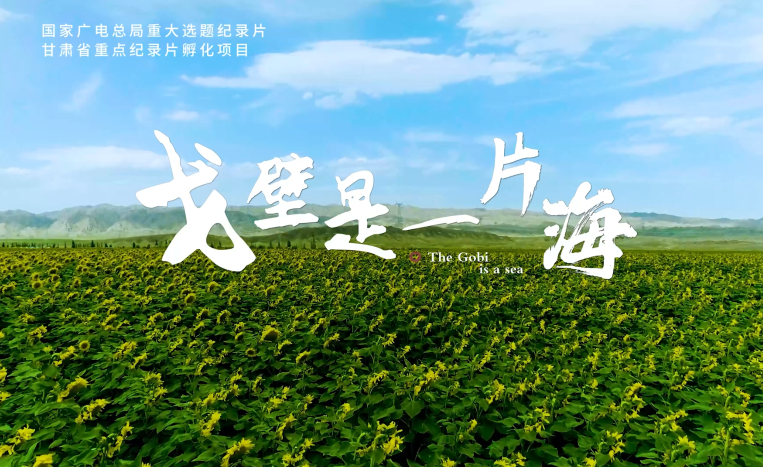 戈壁是一片海