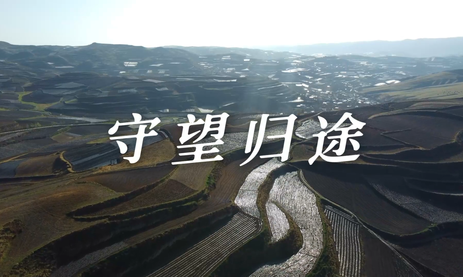 守望归途