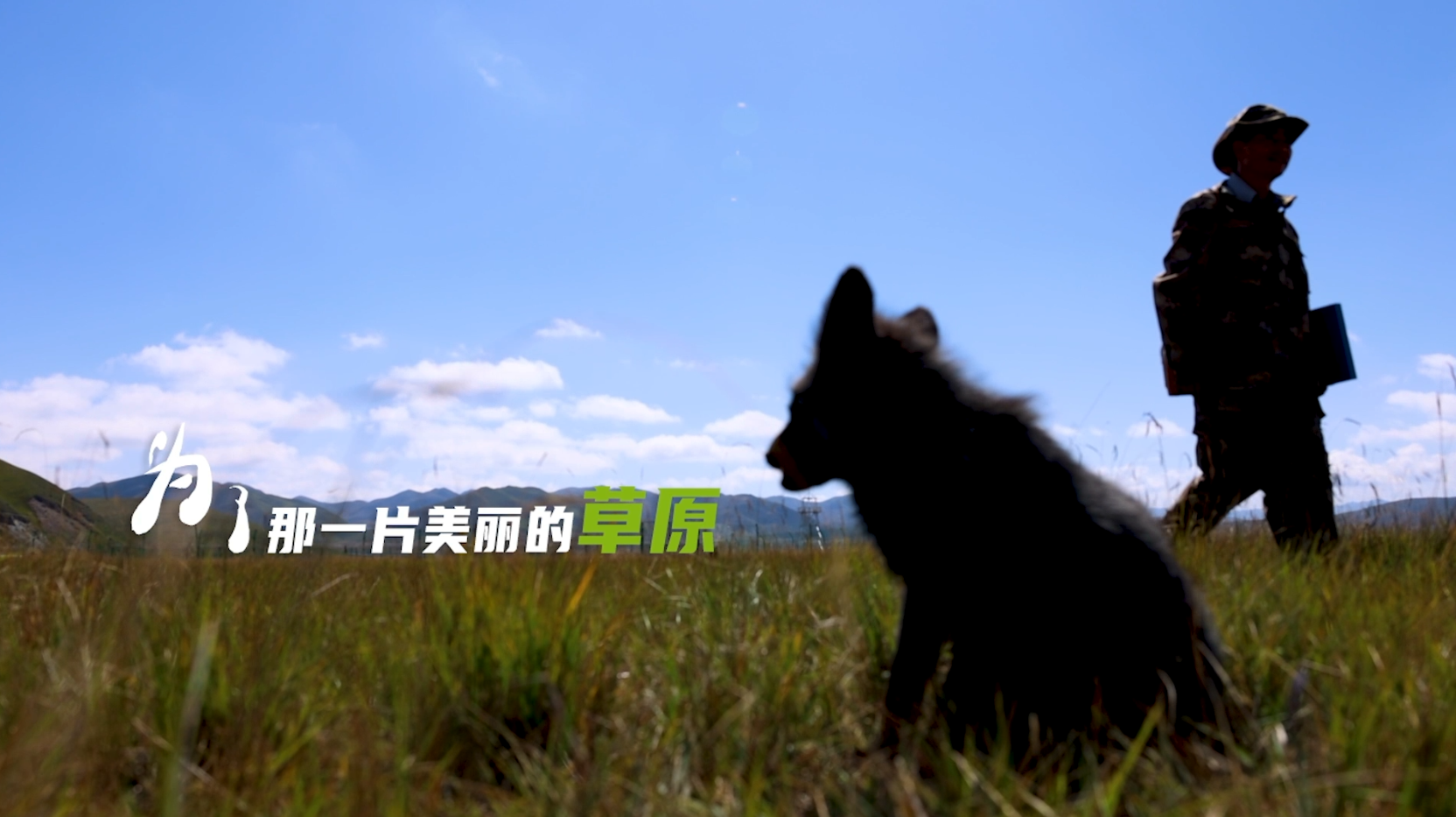为了那一片美丽的草原