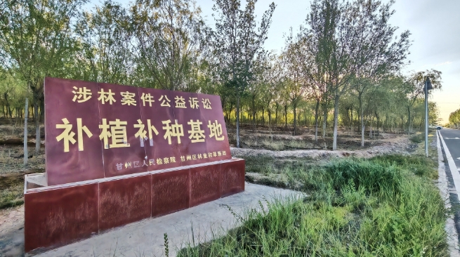 e法耀陇原|天光染绿处 法治护祁连