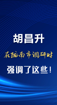 图解|胡昌升在陇南市调研时强调了这些！