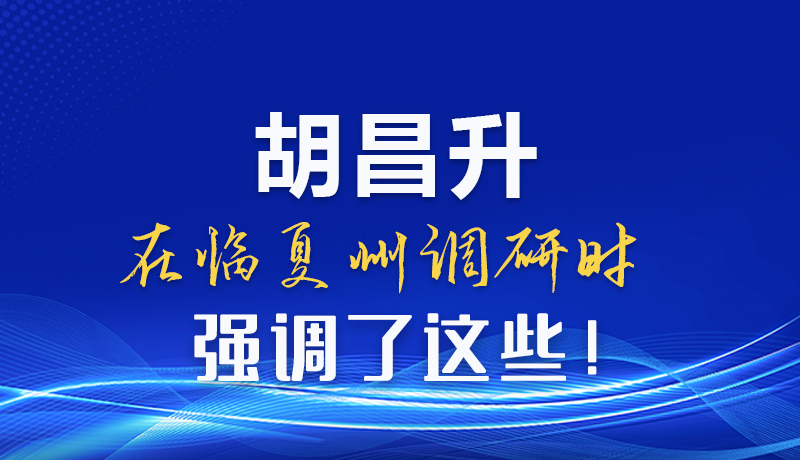 图解|胡昌升在临夏州调研时强调了这些！