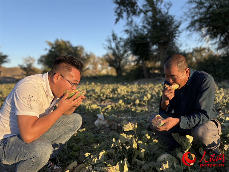 闫小兵(左一)和种植户在瓜地里品尝苦豆蜜瓜。人民网记者 陈新辉摄 闫小兵(左一)和种植户在瓜地里品尝苦豆蜜瓜。人民网记者 陈新辉摄