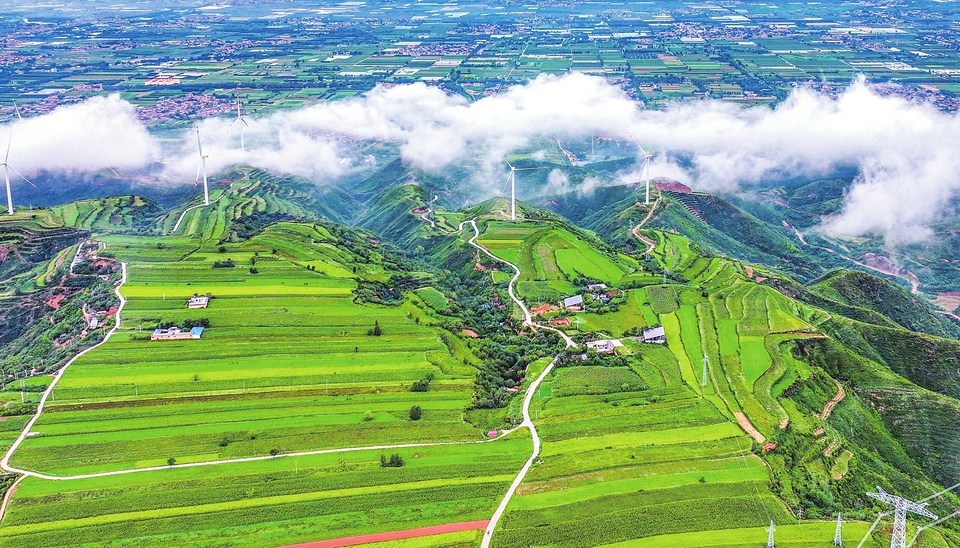 梯田
