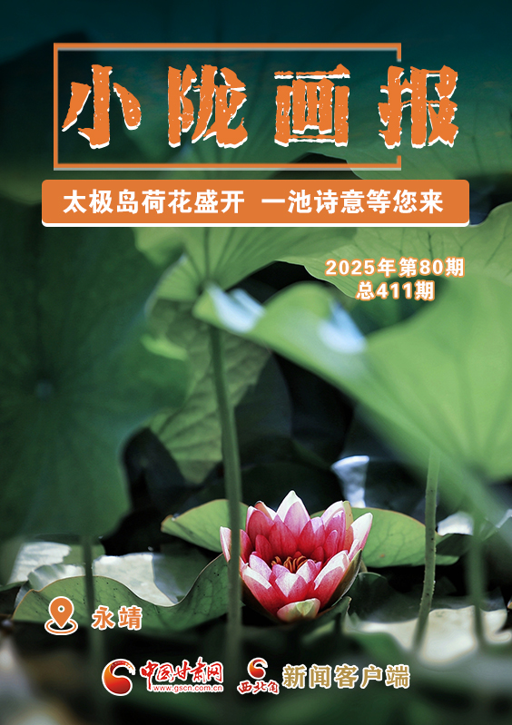 【小陇画报·411期】永靖：太极岛荷花盛开 一池诗意等您来